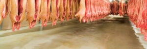 Pisos Industrias Alimenticias