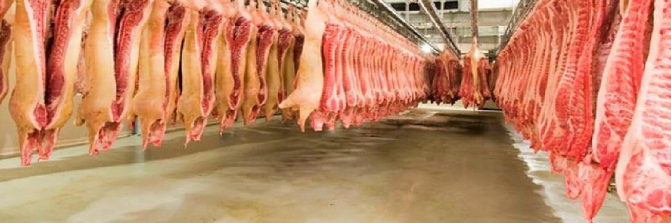Pisos Epoxi para Industria Alimenticia