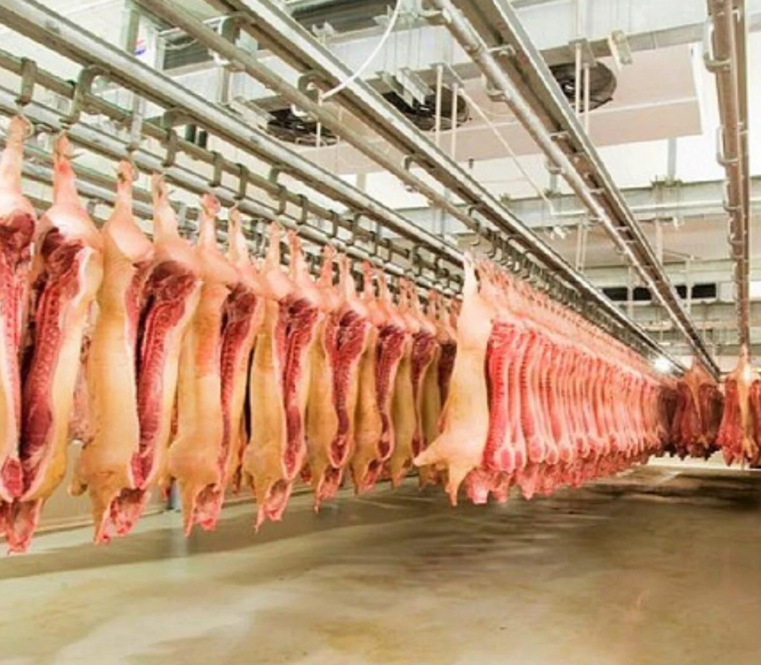 Industria Alimenticia